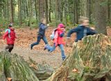 Kinder laufen durch Wald © Gregor Wolf