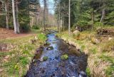 Malerische Flusslandschaft im Wald &copy; Julia Zink