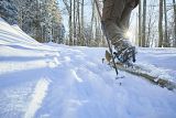 Schneeschuhwanderung im verschneiten Wald