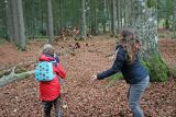 Kinder spielen im Wald und werfen Laub in die Höhe. © Foto: Gregor Wolf