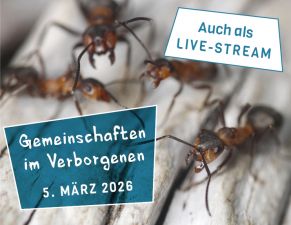 Winter-Vortragsreihe &copy; NPV-BGD