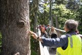 Besucher auf dem Baumwipfelpfad © Foto: Erlebnis Akademie AG