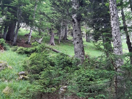  © Christian Rauscher