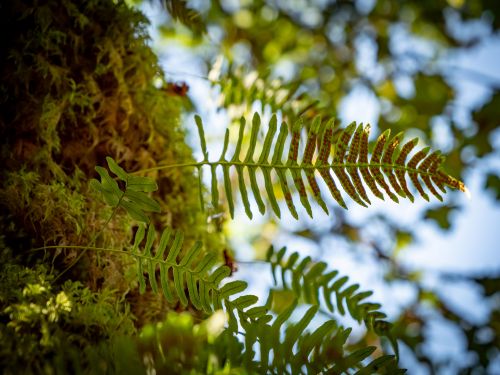  &copy; Florian Mädler