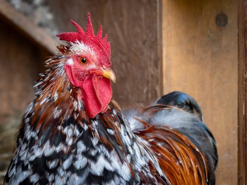  &copy; Biosphärenregion Berchtesgadener Land