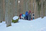 Schneeschuhwandernde im verschneiten Wald