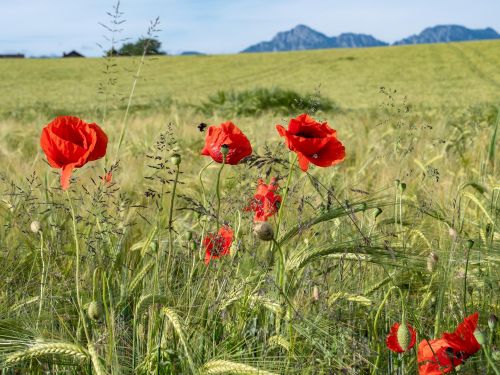  &copy; Biosphärenregion Berchtesgadener Land